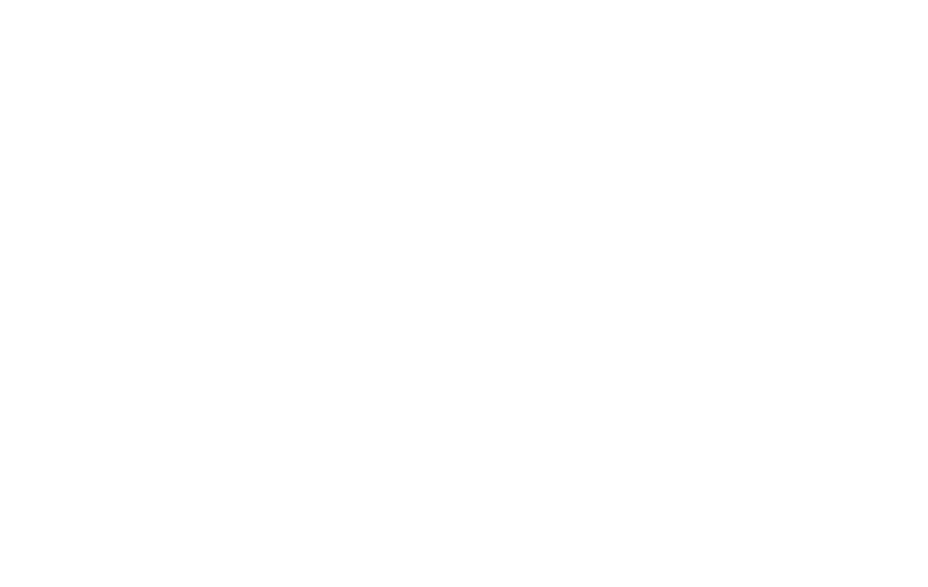 ioon